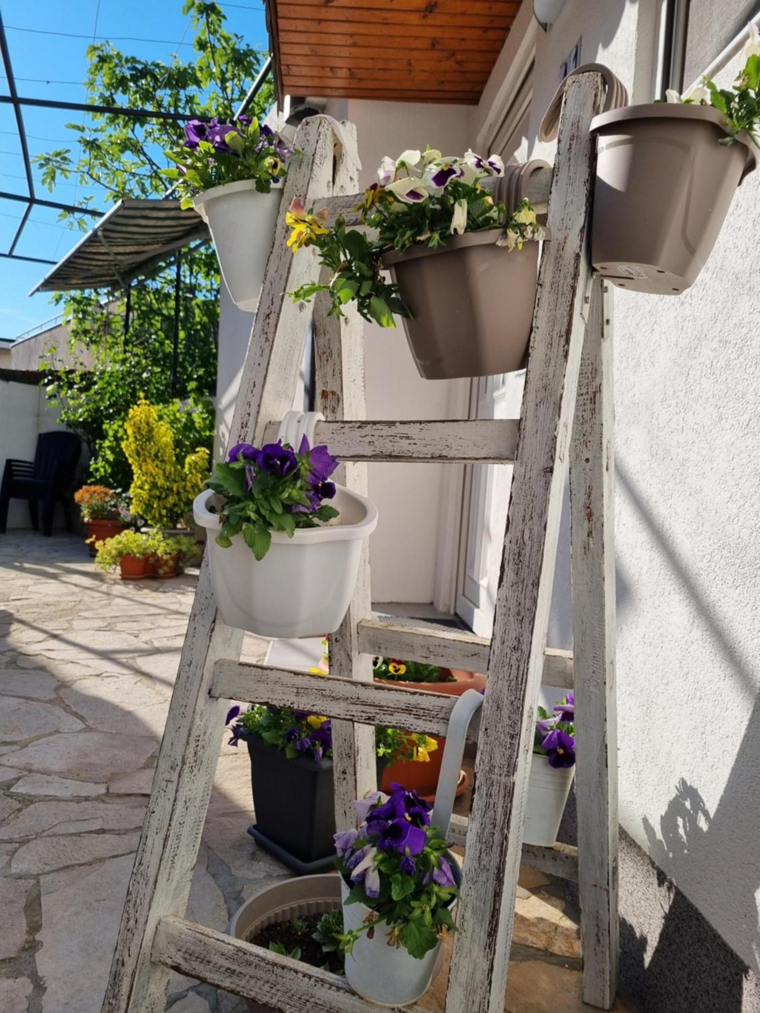 Apartments Deni Mostar Dış mekan fotoğraf
